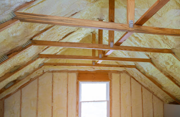 Insulation Inspection Services in Wilmington Island, GA